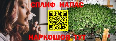 прущие грибы Ливны