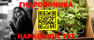 прущие грибы Ливны