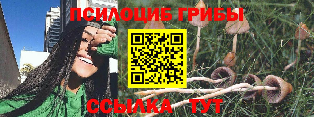 Донской  Галлюциногенные грибы GOLDEN TEACHER  Вход с VPN  Галлюциногенные грибы мухоморы 